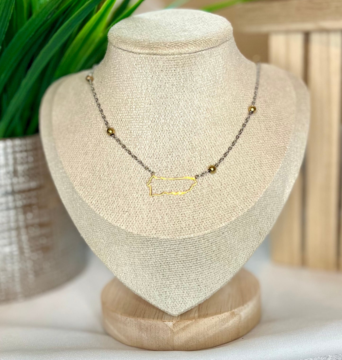 PR Gold & Silver Necklace